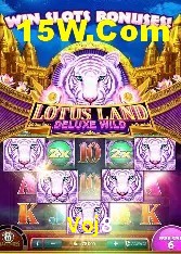 Programa VIP Voj8